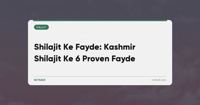 Shilajit Ke Fayde: Kashmir Shilajit Ke 6 Proven Fayde