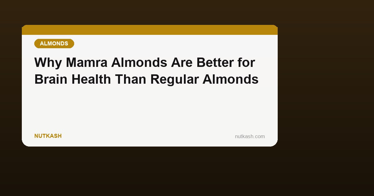 Why Mamra Almonds Are Better for Brain Health Than Regular Almonds