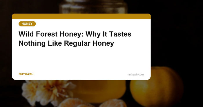 Wild Forest Honey: Why It Tastes Nothing Like the Honey in Your Kitchen
