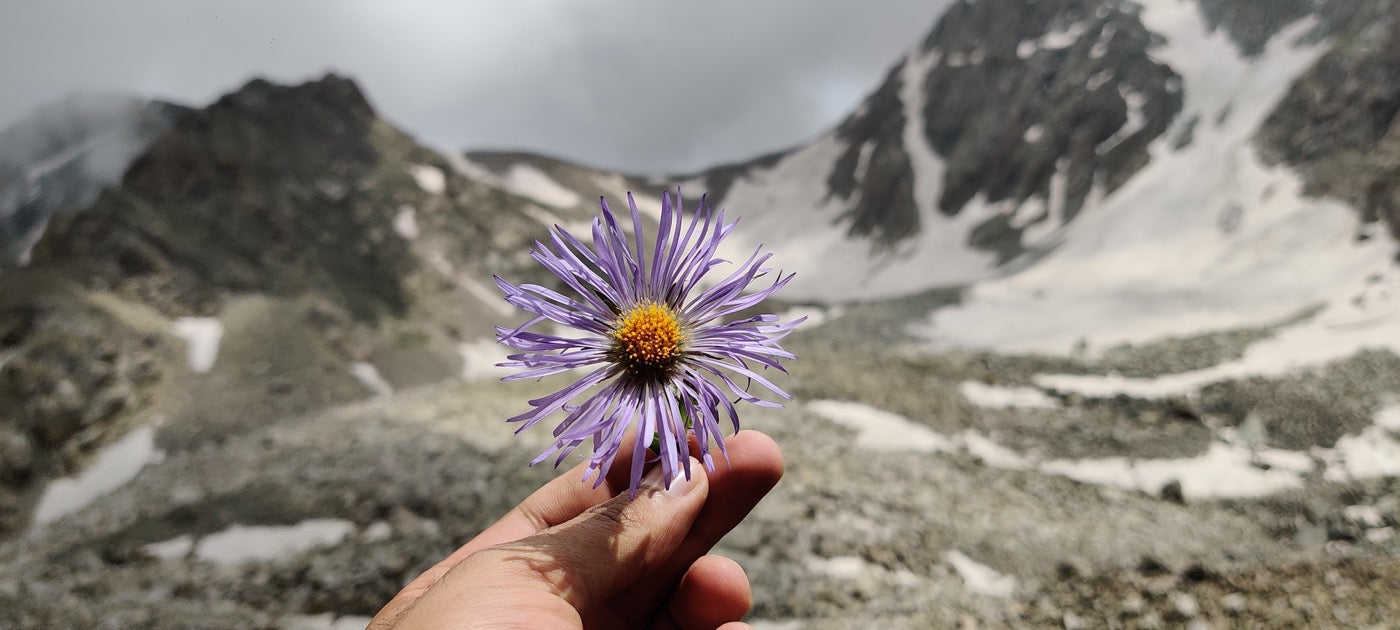 Kashmir