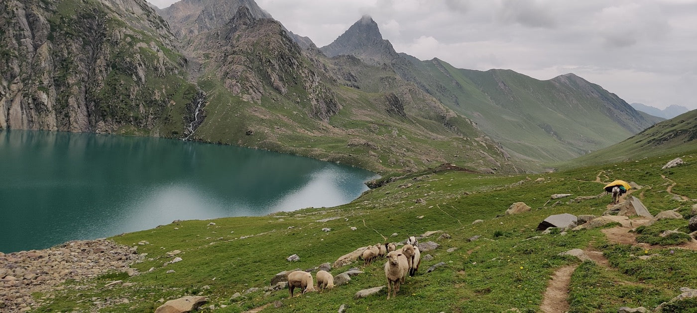 Kashmir