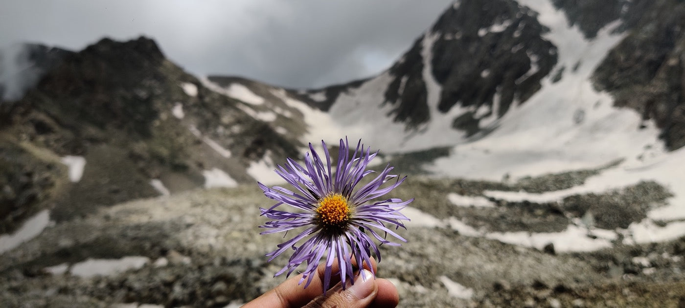 Kashmir