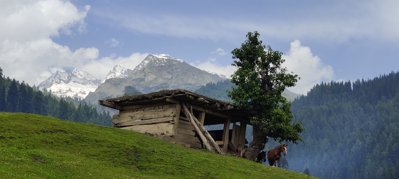 Kashmir