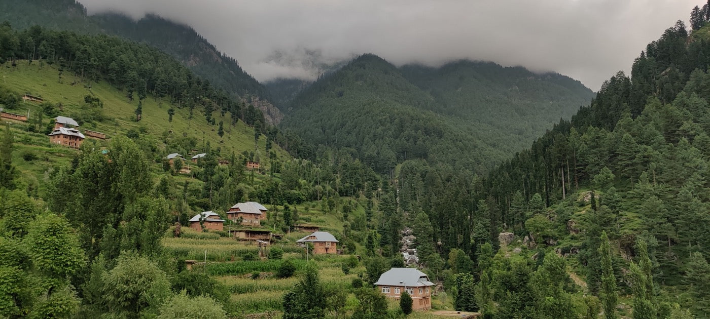 Kashmir